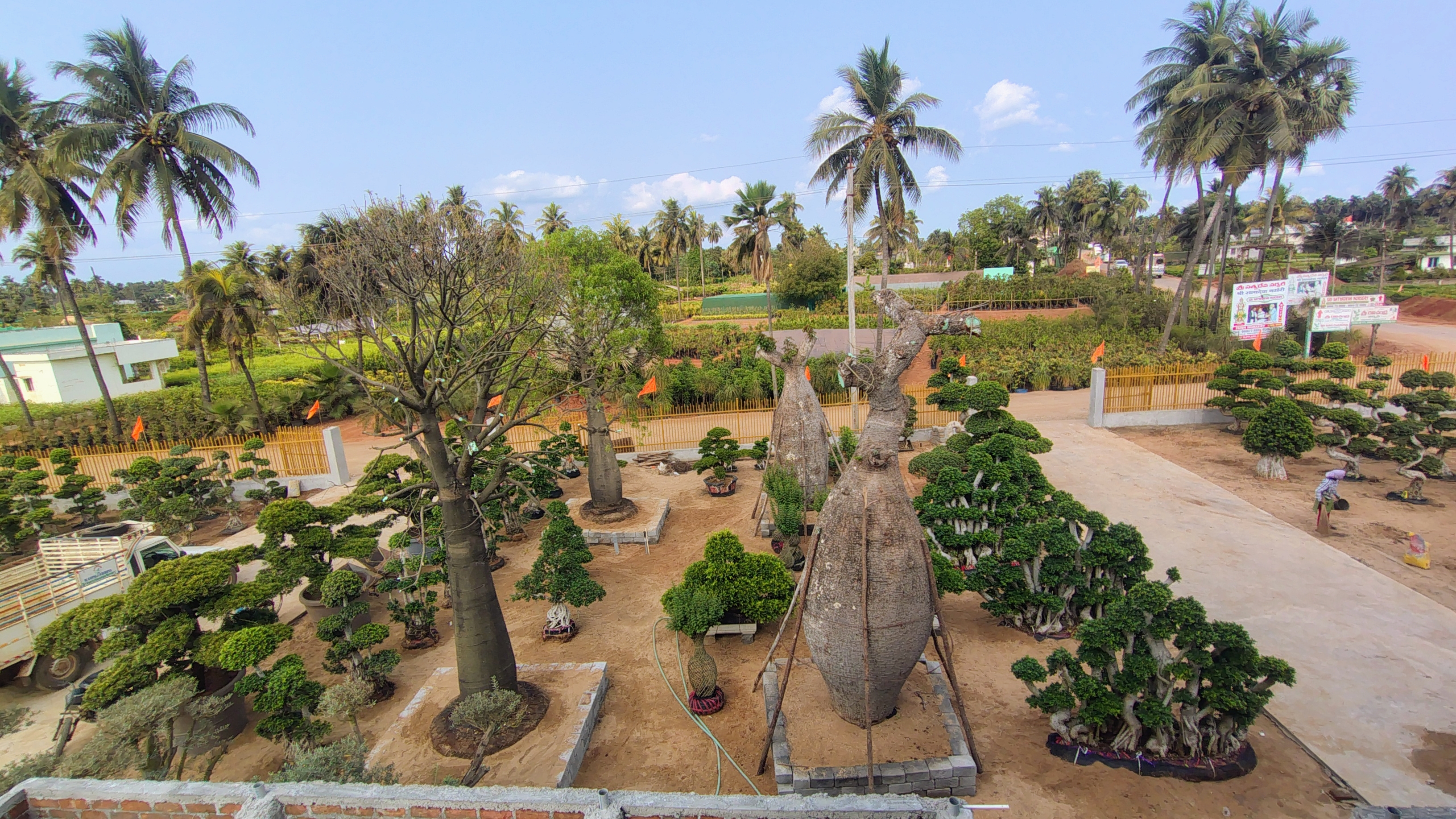 Sri Veera Hanuman Nursery